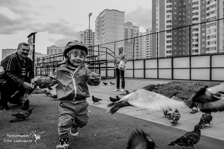 Конец лета, велосипед и голуби ...