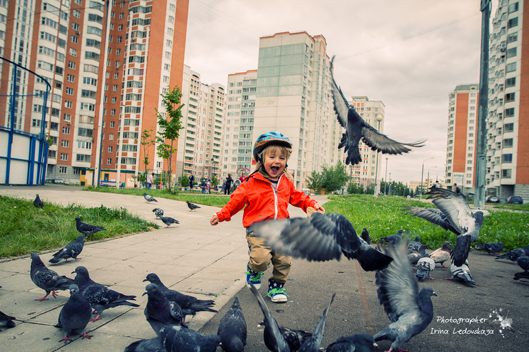 Конец лета, велосипед и голуби ...