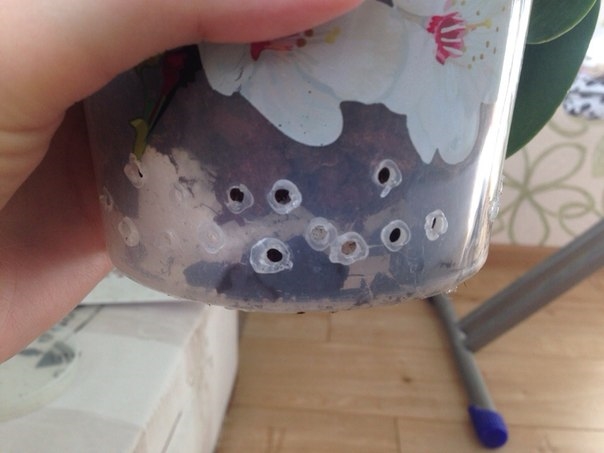 Умирает или нет?