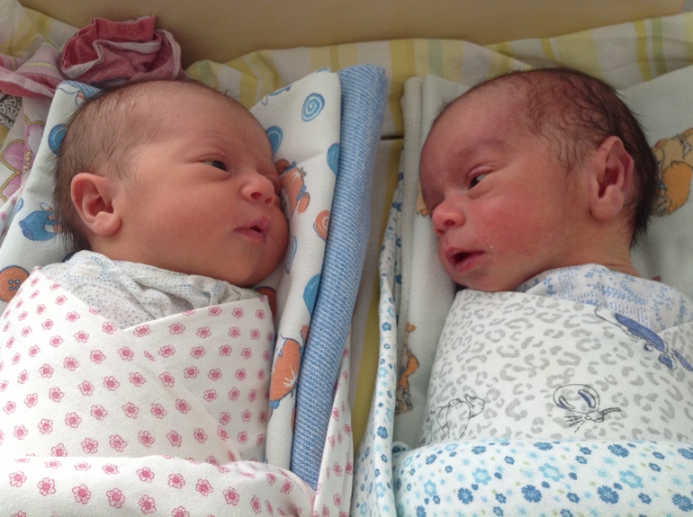 Марипупсики