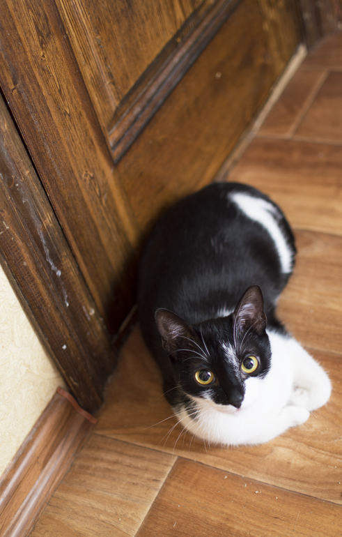 Эпизод второй. Композиция. Правило трех третей.