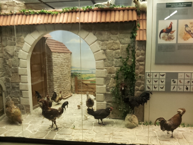 Музей Дарвина - мы там были - смотрите фото)))