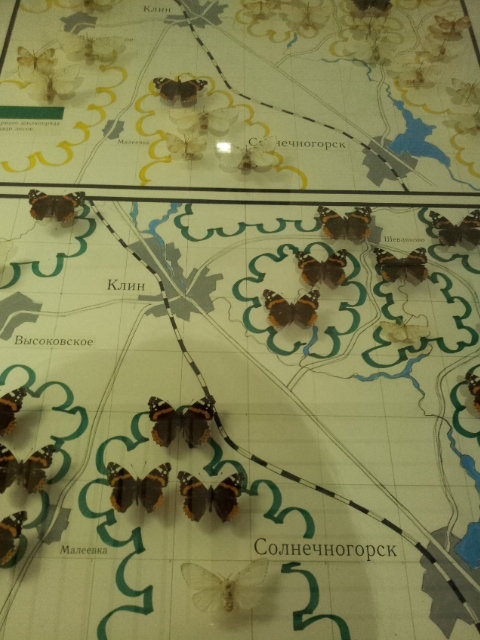 Музей Дарвина - мы там были - смотрите фото)))