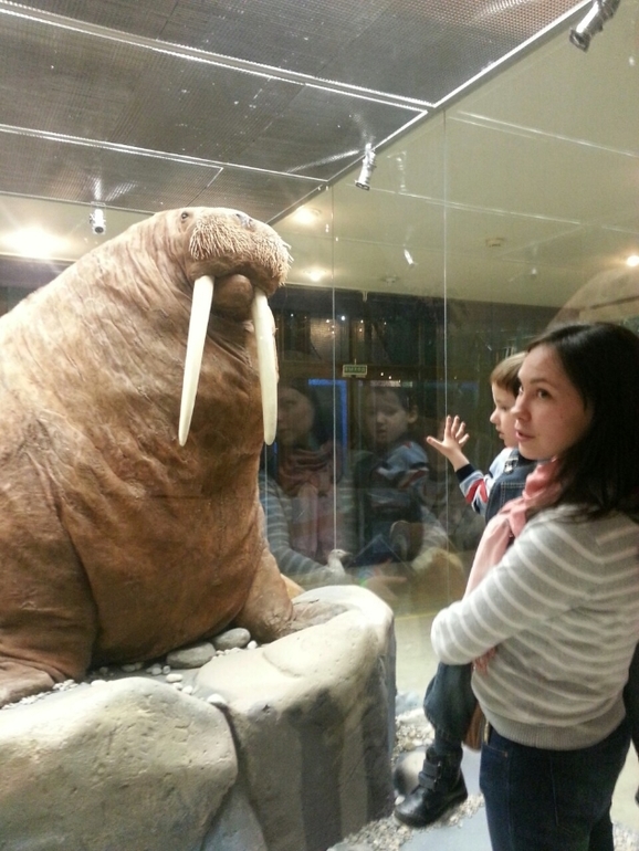 Музей Дарвина - мы там были - смотрите фото)))