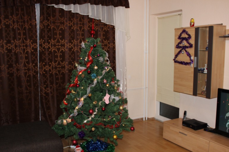 И мы наконец то украсили нашу квартирку!!! Теперь витает в воздухе Новогоднее настроение!!!! 2014 год
