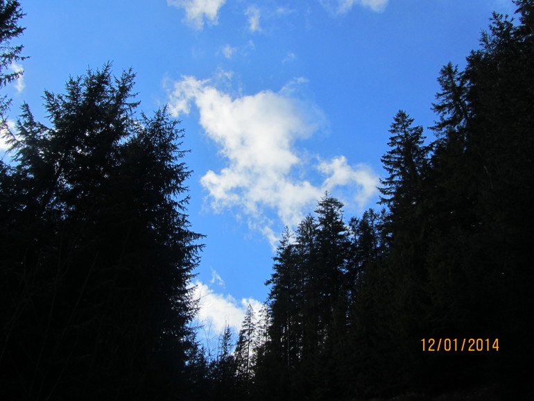 Рождественские каникулы. Карпаты. Часть 2