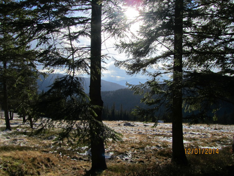 Рождественские каникулы. Карпаты. Часть 2