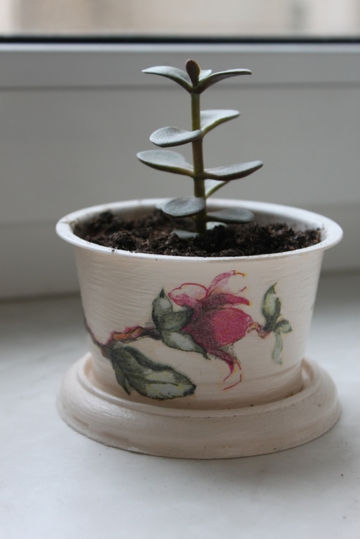 Цветущие горшки!