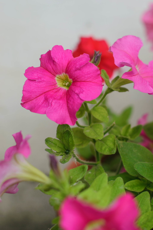 вот оно какое наше Лето:))