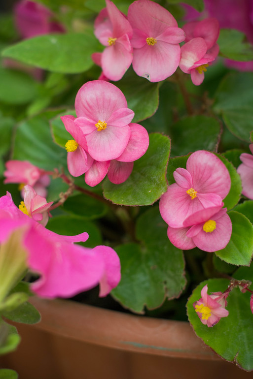 вот оно какое наше Лето:))