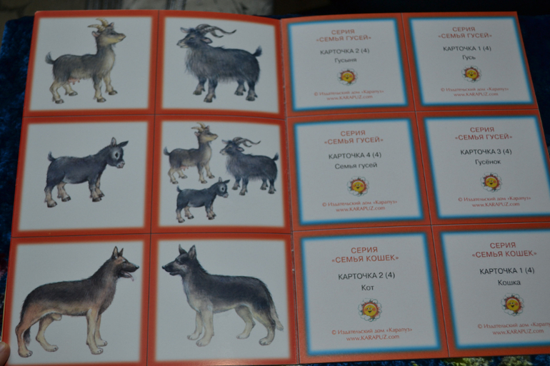 Развивающее пополнение))