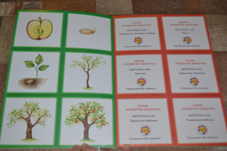 Развивающее пополнение))