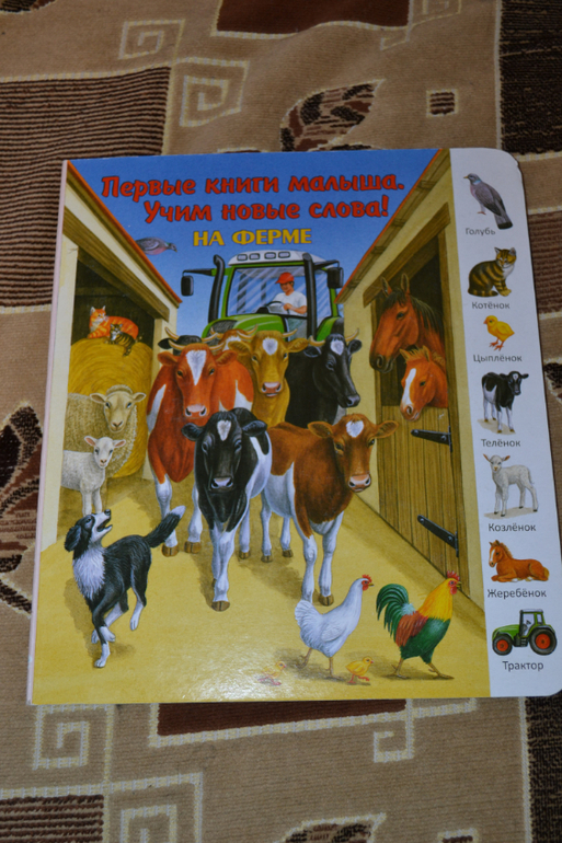 Наше книжное пополнение в 2 года