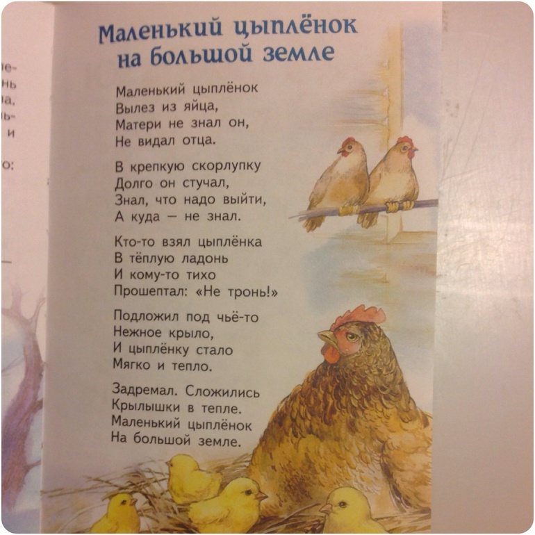 ФМ