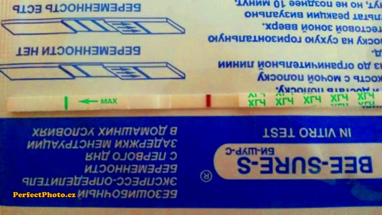 Вот такие они...Бишурсы...