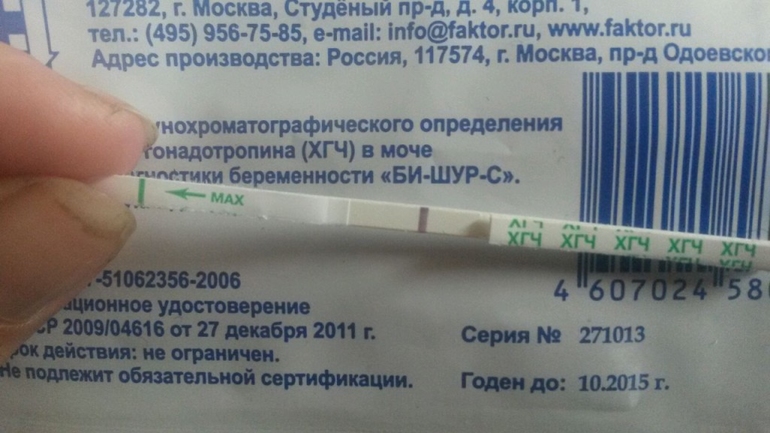 Вот такие они...Бишурсы...