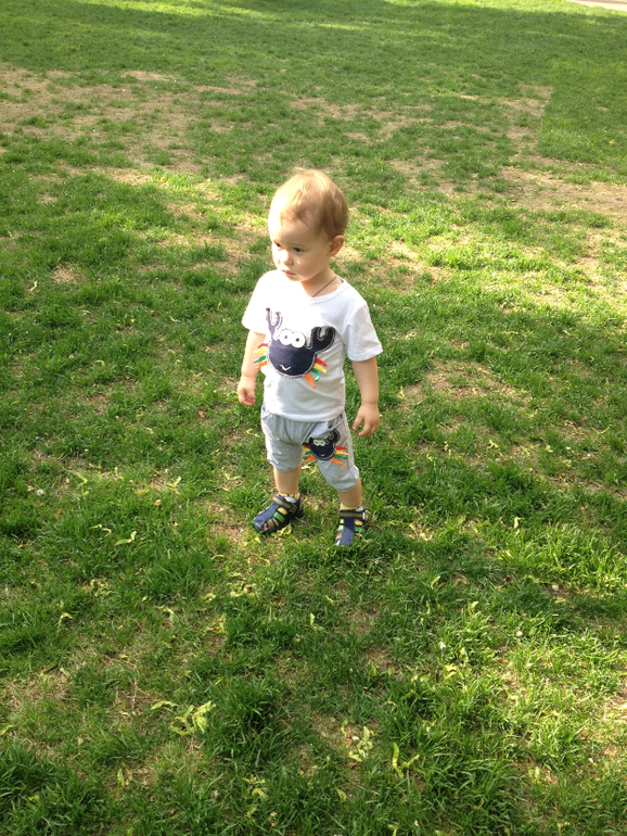 Фото с прогулок, часть 4