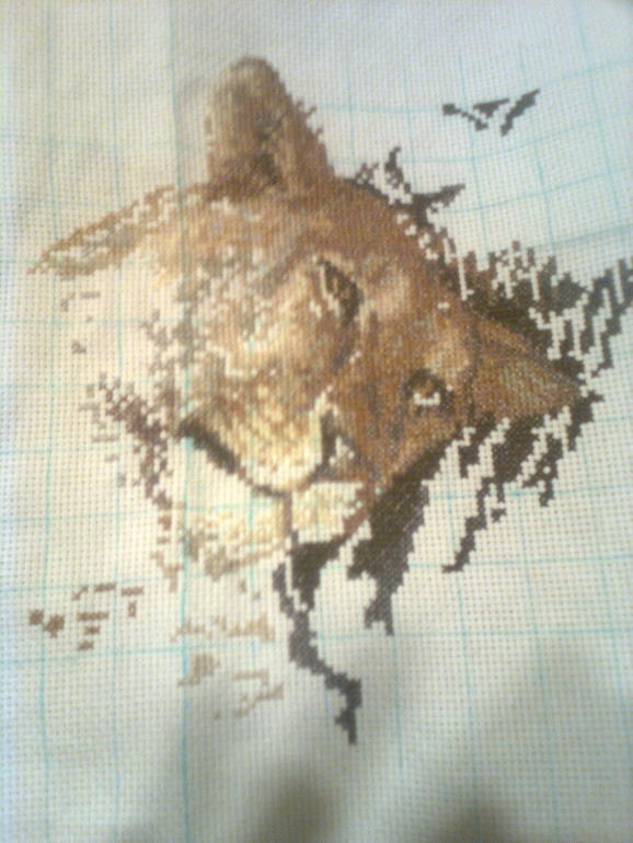 Начало положено