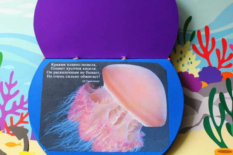 Книга о водных обитателях из картона