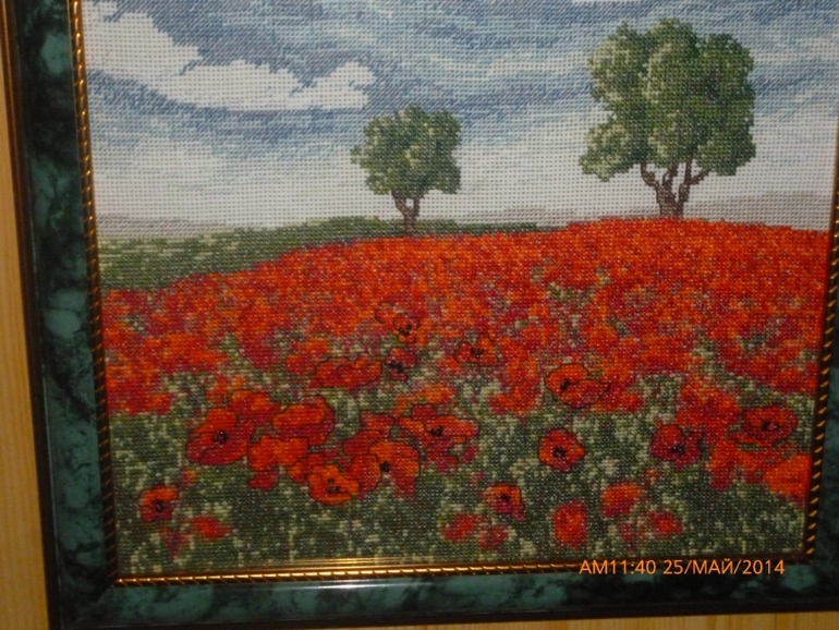 маковое поле)