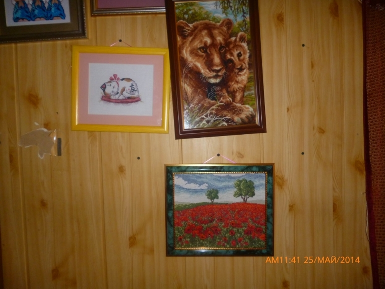 маковое поле)