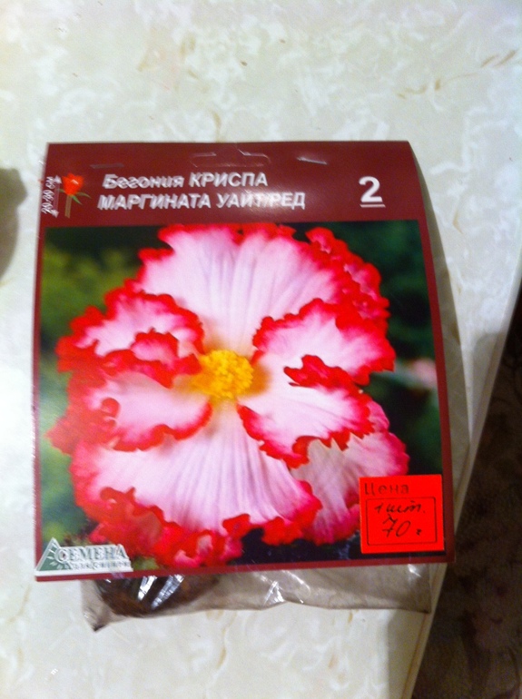 Маленько моих зелёных жителей.