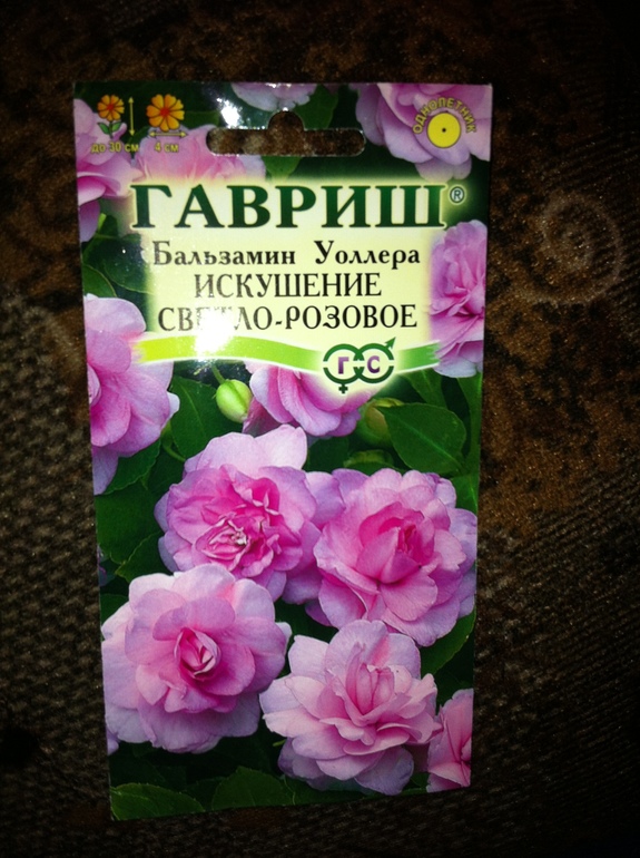 Накупила,буду сажать.