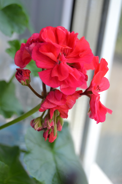 Так полюбоваться)