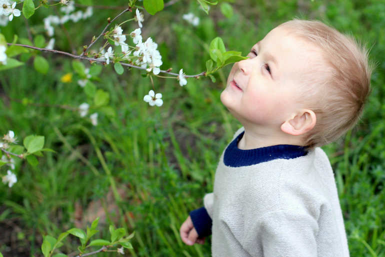 "Один раз в год сады цветут..."