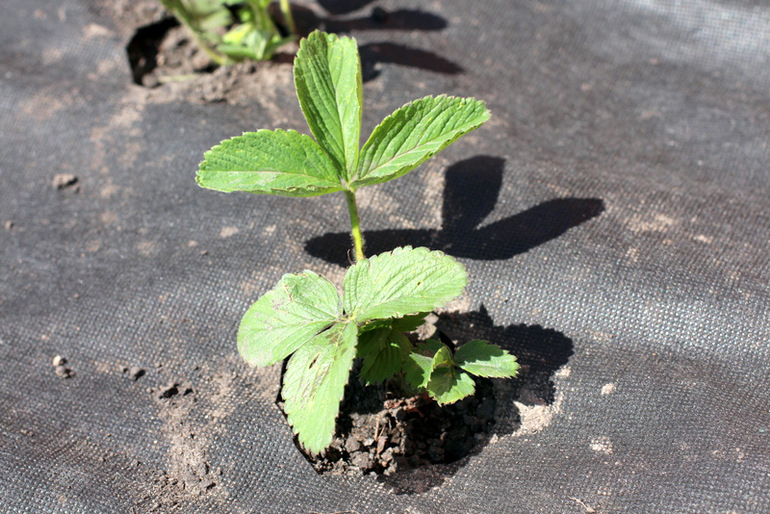 "Если хочешь быть здоровым - закаляйся!"