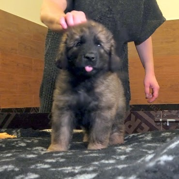 Трям, здравствуйте!!!;)