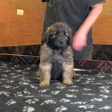 Трям, здравствуйте!!!;)