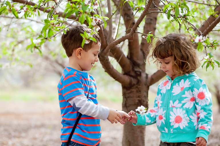 Цветет миндаль