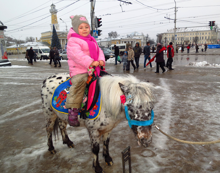 новогодние каникулы в костроме
