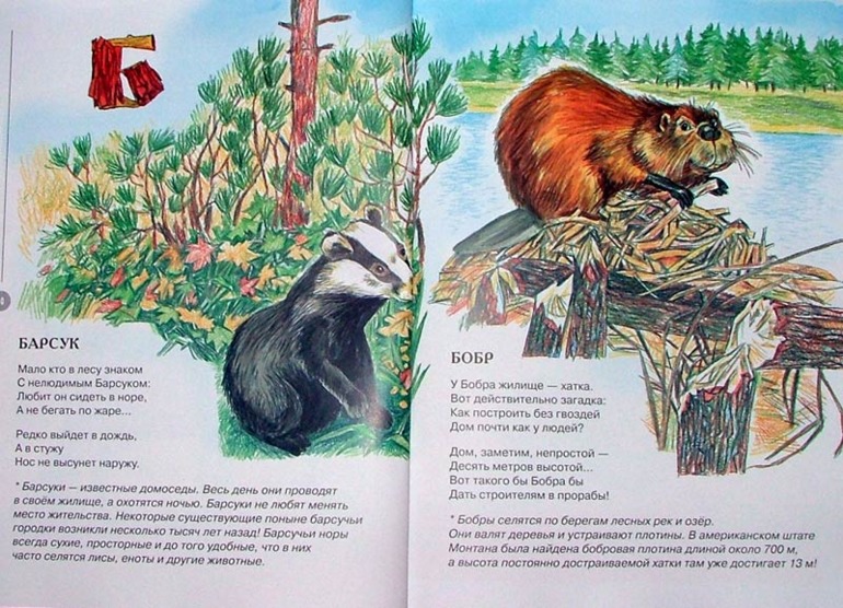 Библиотечное. Зоология для детей. Усачев.