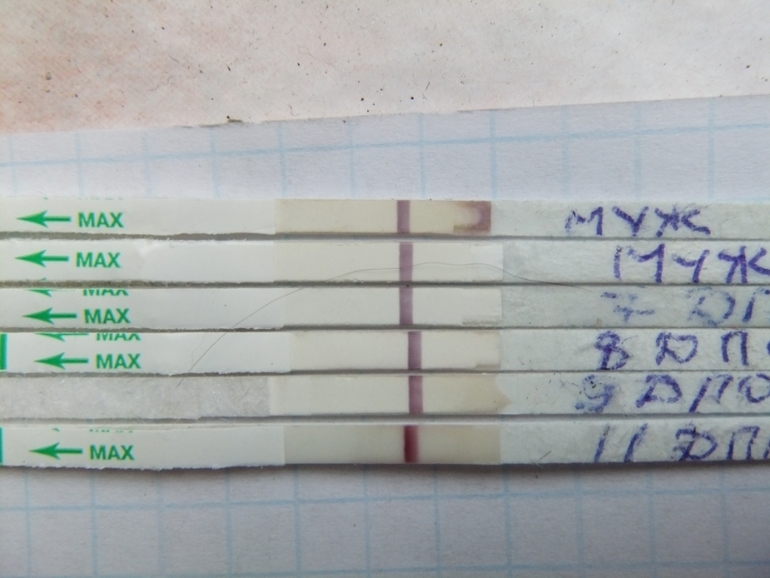 Посмотрите плиз.есть что?