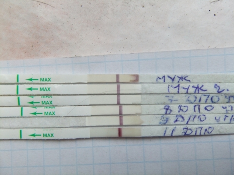 Посмотрите плиз.есть что?