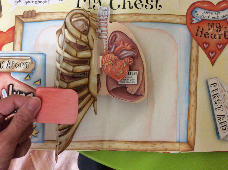 Часть 2. Наши книги pop-up