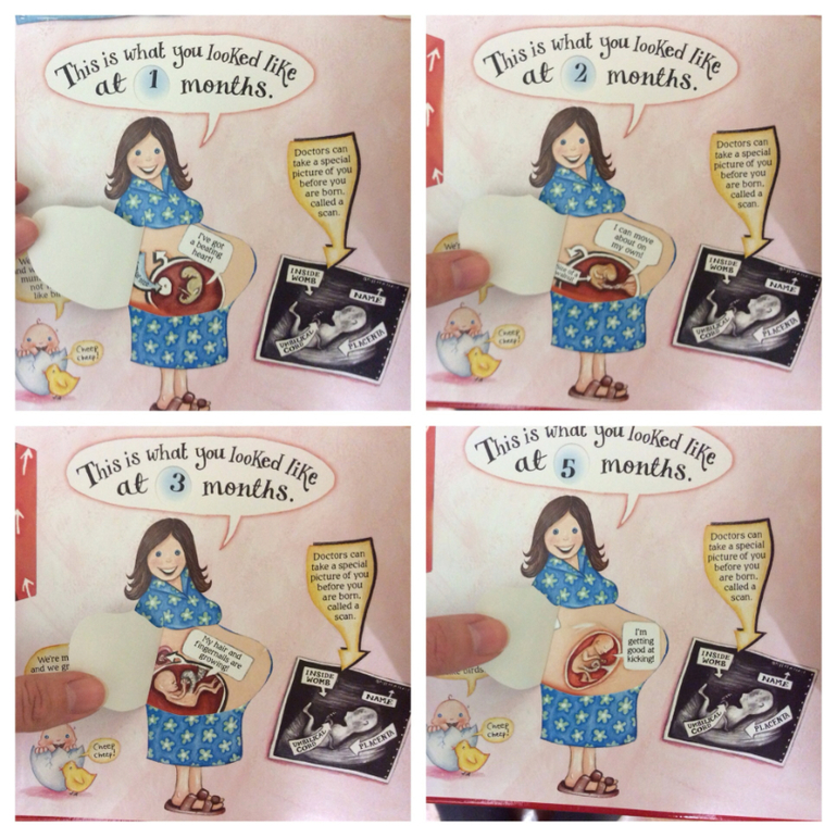 Часть 2. Наши книги pop-up