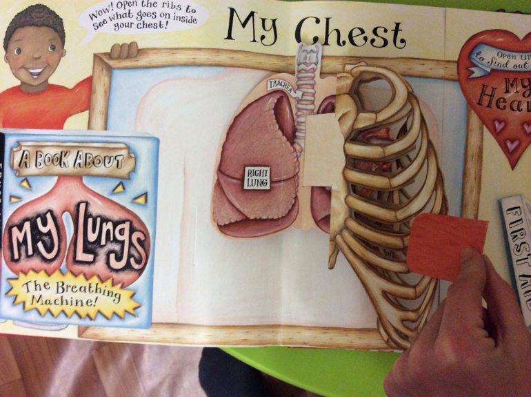 Часть 2. Наши книги pop-up