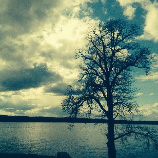 Мой любимый Селигер