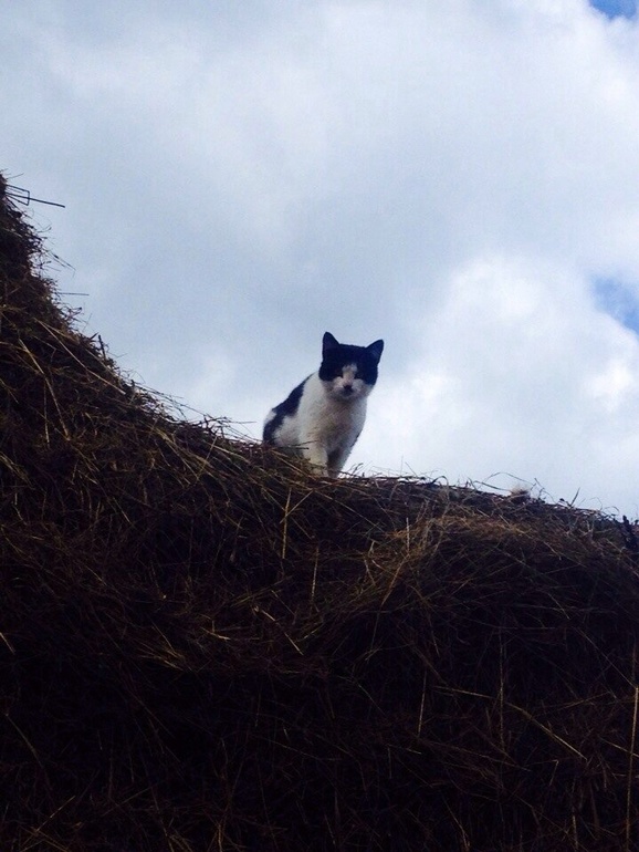 Мой любимый Селигер