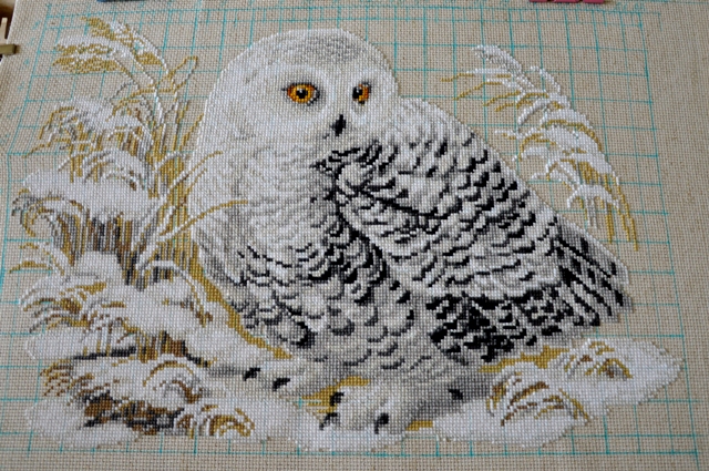 Букля от Риолис :))