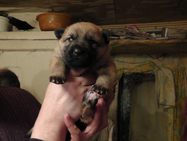 Маленький чудик)))