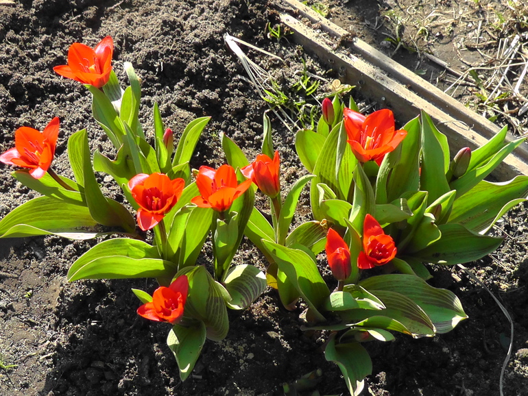 Ах, весна!!!!! Все просыпается...