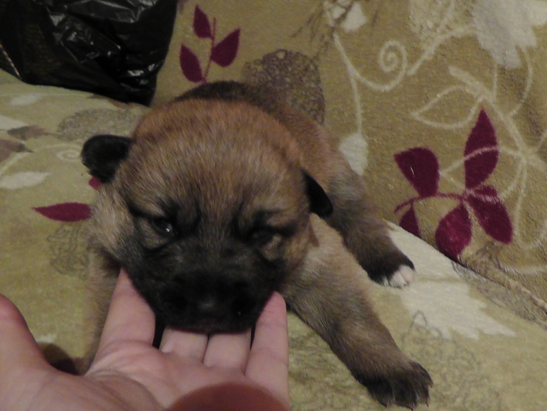 Маленький чудик)))