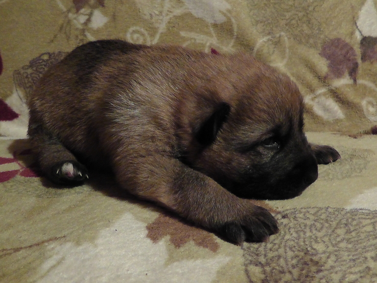 Маленький чудик)))