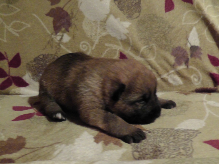 Маленький чудик)))