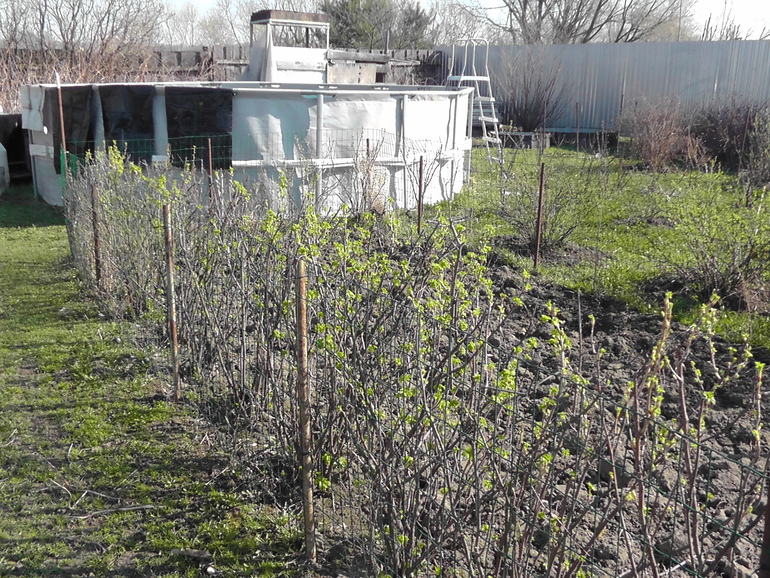 Ах, весна!!!!! Все просыпается...