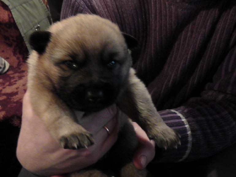 Маленький чудик)))